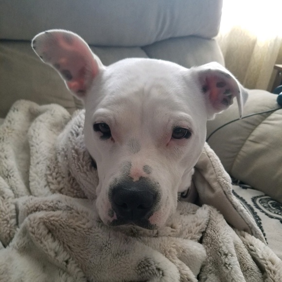 Meet your Posher, Brittney - Picture 7 of 16